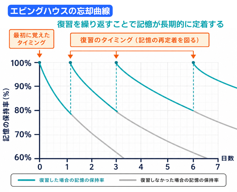 エビングハウスの忘却曲線。最初はできるだけ早く復習することが記憶定着のカギである