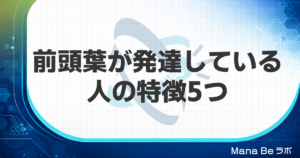 前頭葉が発達している人の特徴5つ｜前頭葉が強い人の俗説と研究で分かること