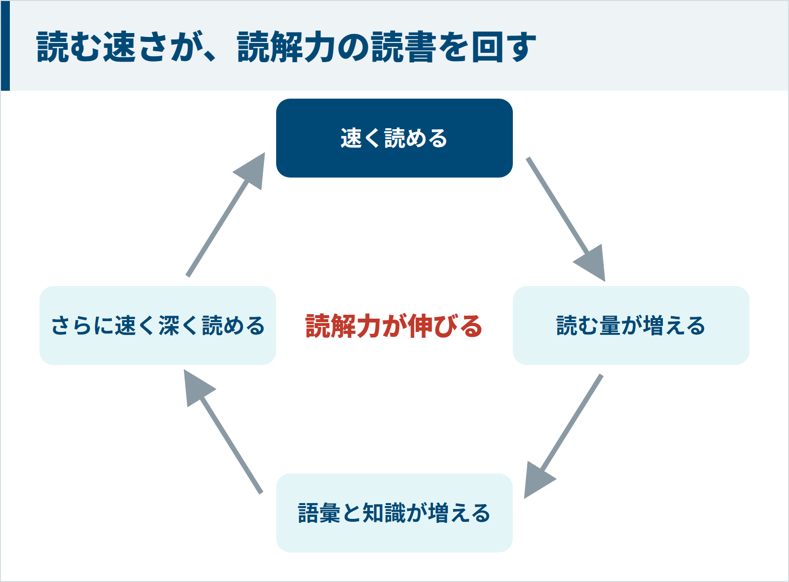 速く読めると読む量が増え、語彙と知識が増えて、さらに速く深く読めるようになり読解力が伸びる循環の図