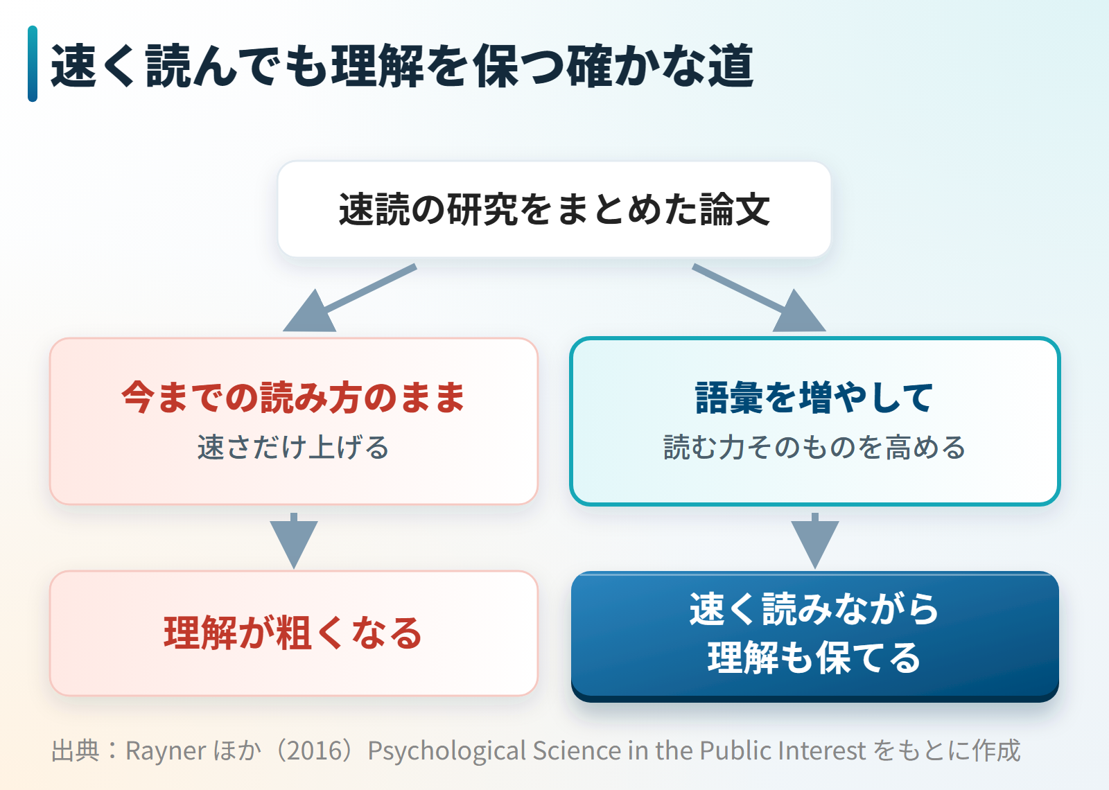 速く読みながら理解も保つには語彙を増やして読む力を高めるのが確かな道だと示す研究の図
