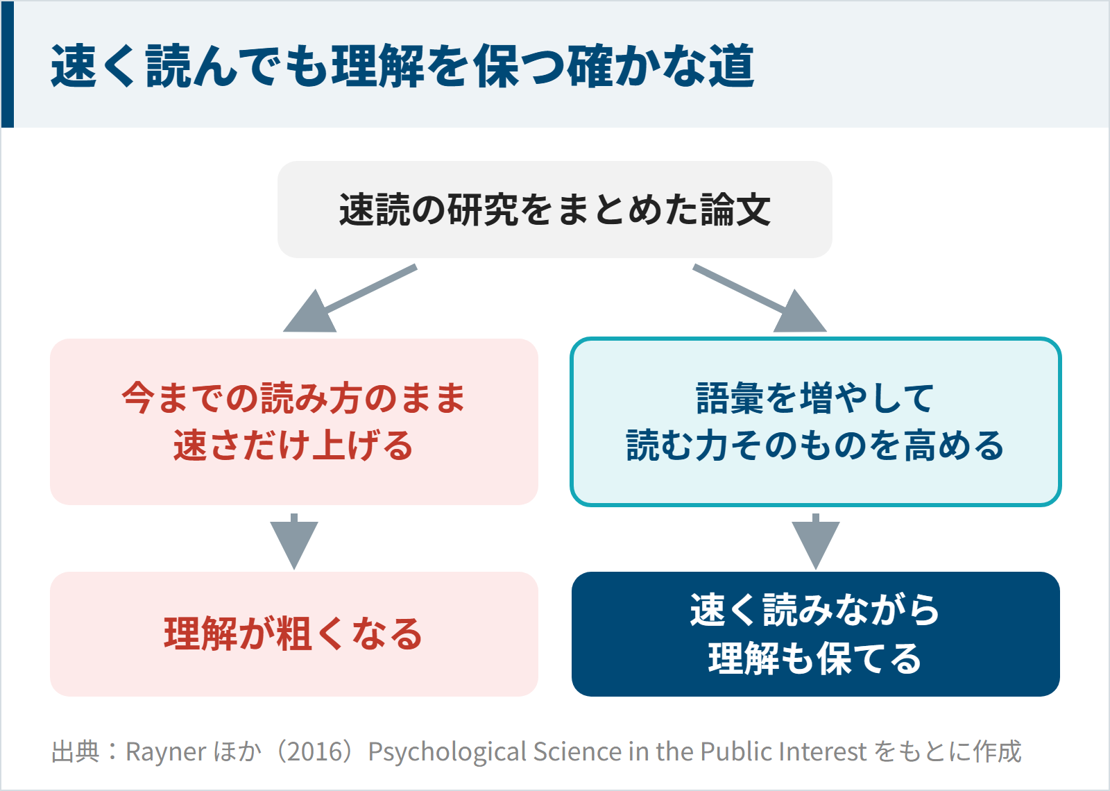 速く読みながら理解も保つには語彙を増やして読む力を高めるのが確かな道だと示す研究の図