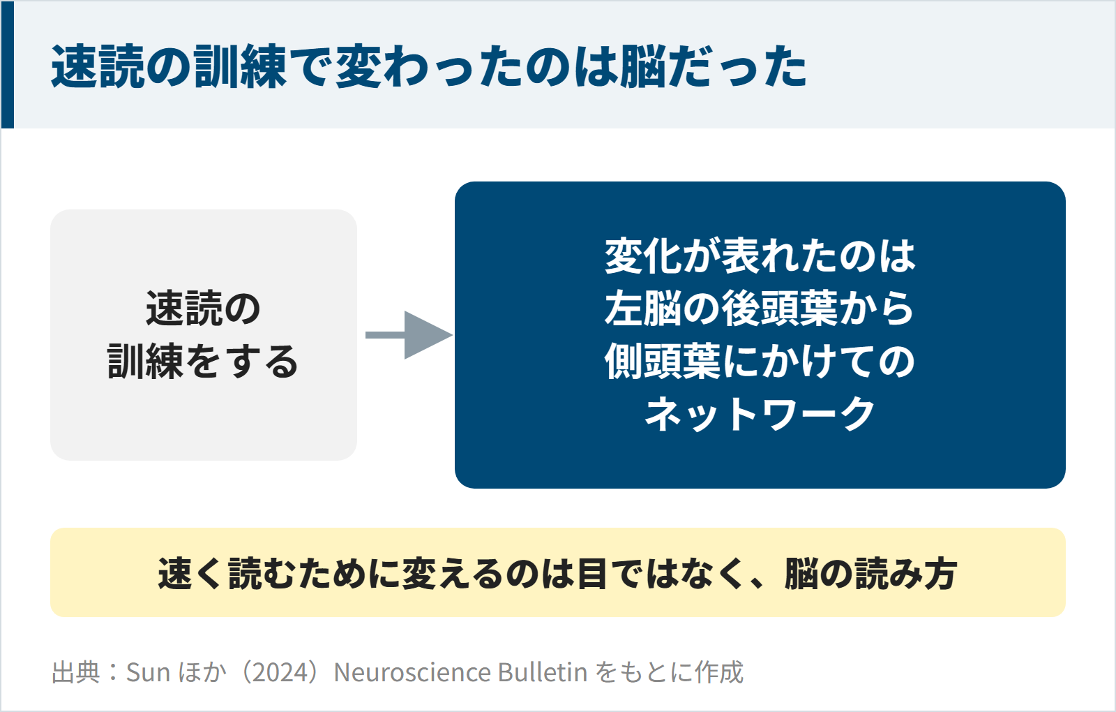 速読の訓練による変化が左脳の後頭葉から側頭葉にかけてのネットワークに表れた研究の図
